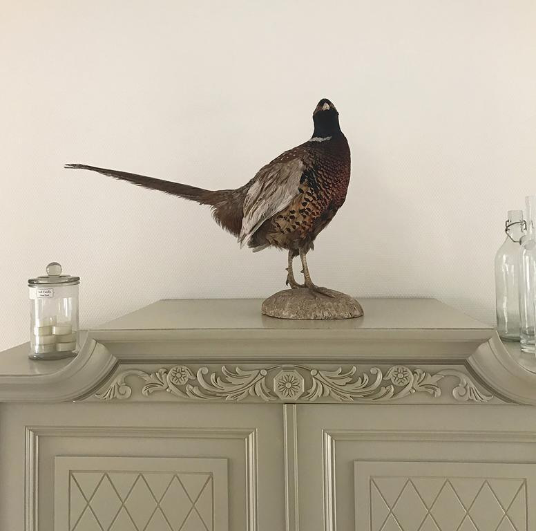 Vita Huset B&B Soelvesborg Extérieur photo